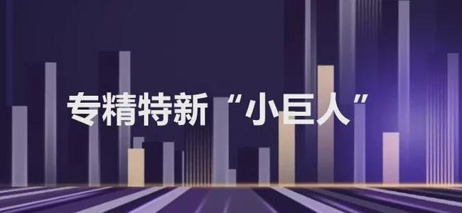 金年会官方网站入口电机